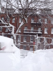 Shoveling out the back door