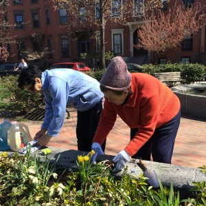 ElviraLubicaHamptonAlbanians